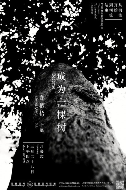 成为一棵树 Become A Tree 郑栖梧 Zheng Qiwu