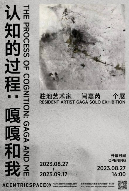 认知的过程：嘎嘎和我 The Process of Cognition: Gaga and Me 闫嘉芮 Gaga Yan